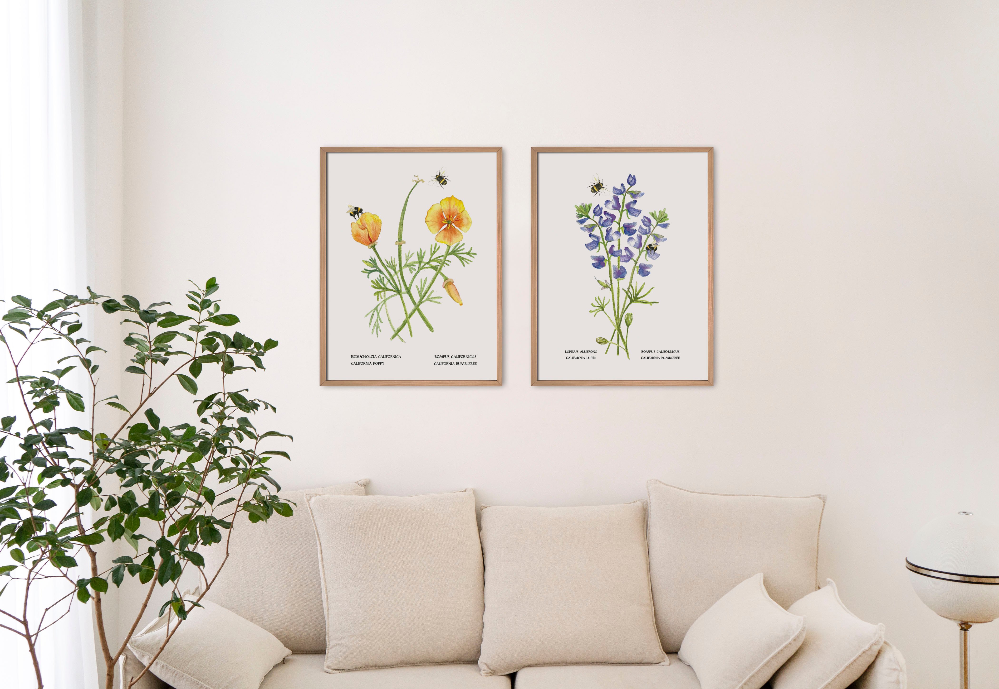 Minimalist living room with beige sofa, indoor plant, and botanical art prints featuring flowers on the wall.