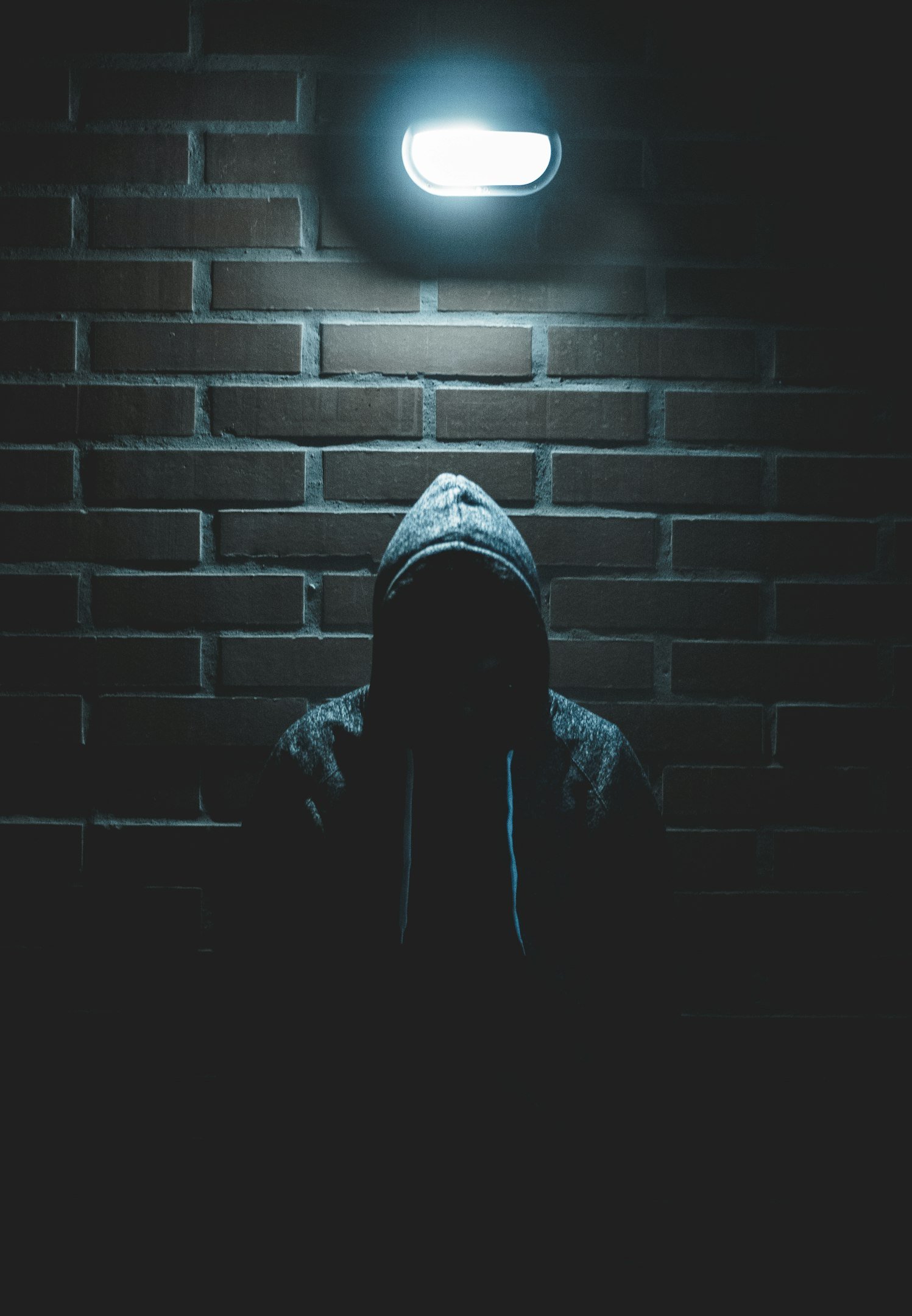 Phishing: La amenaza creciente en M&#xE9;xico