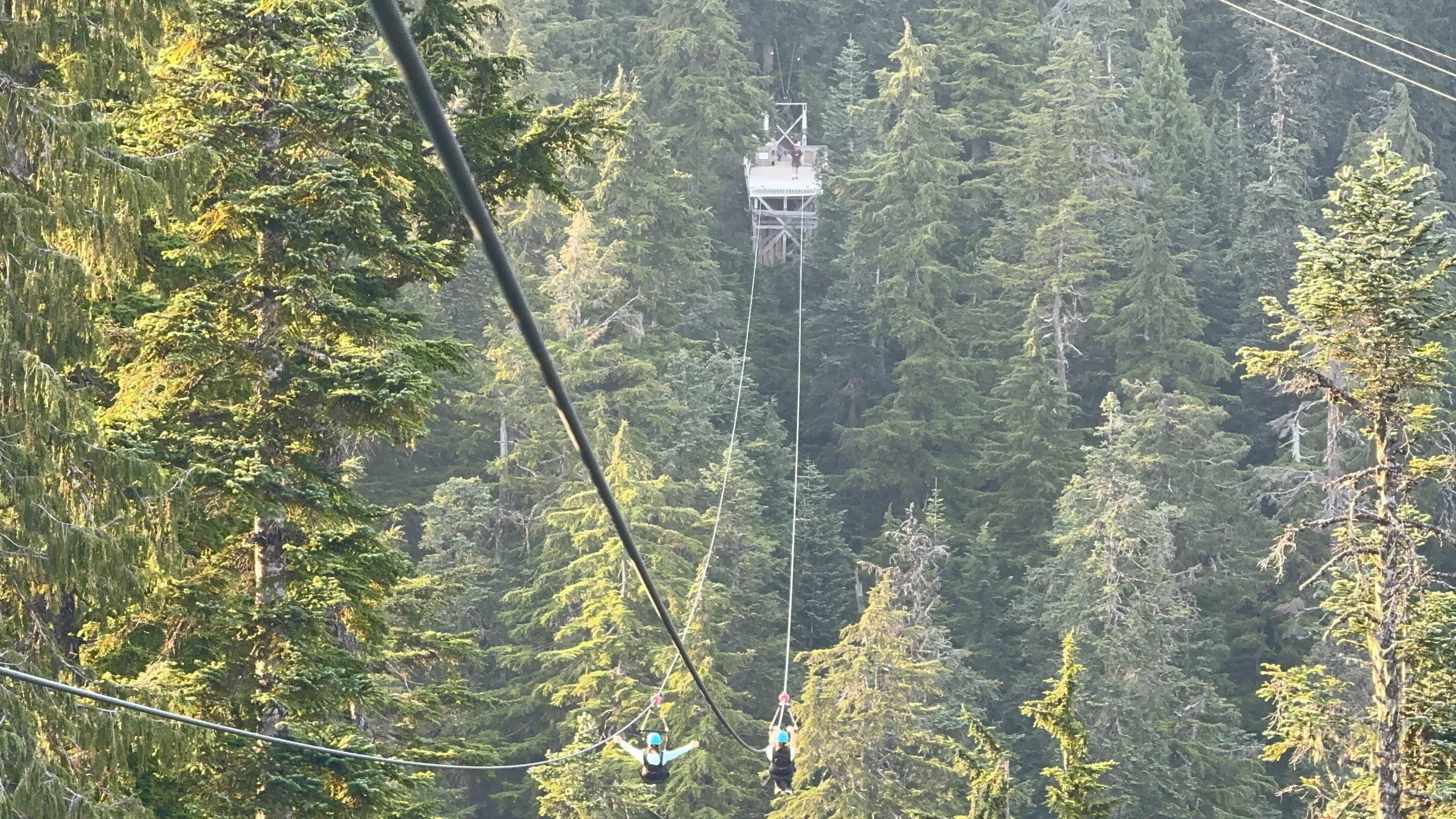 https://0201.nccdn.net/4_2/000/000/05a/a3f/vancouver-order-152.jpg