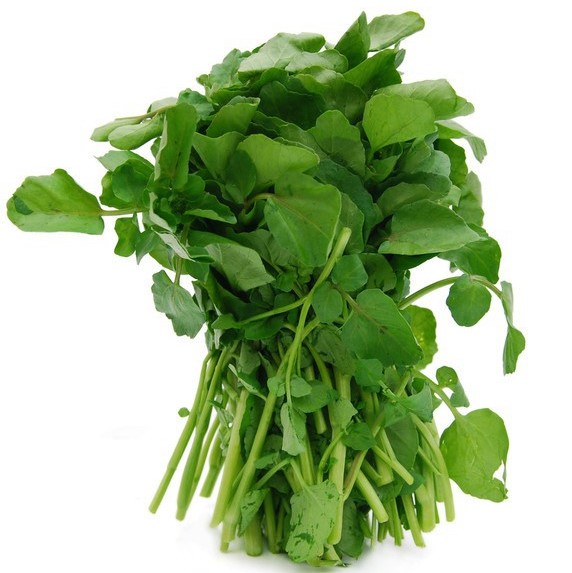https://0201.nccdn.net/4_2/000/000/05a/a3f/watercress.jpg