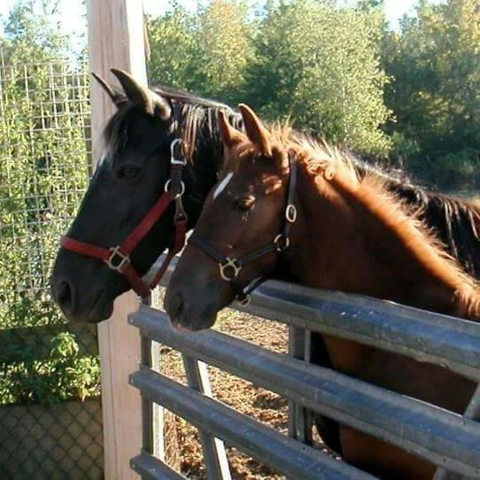 Ritz and his Mommy, Emily