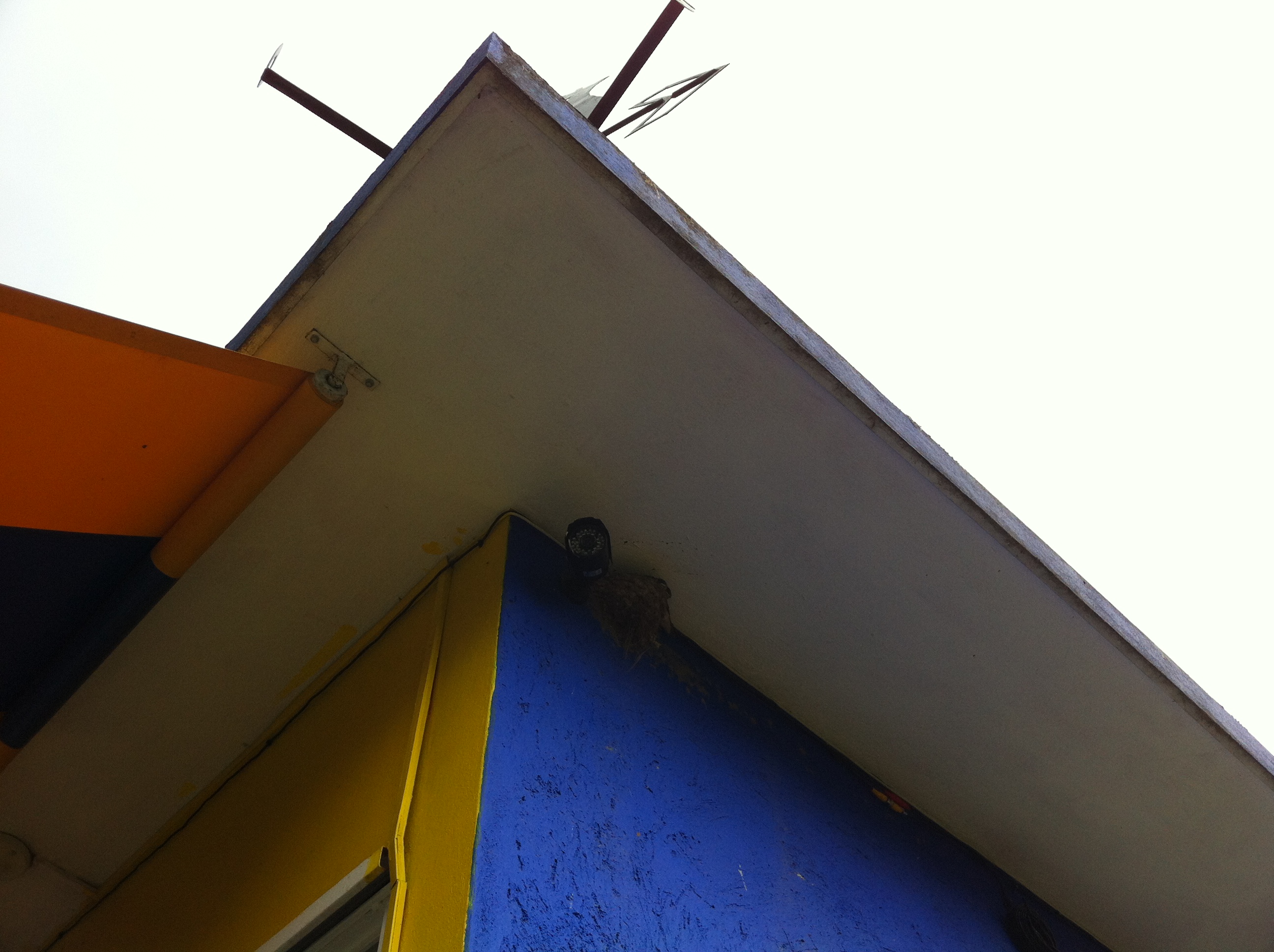 Coloque el título aquí