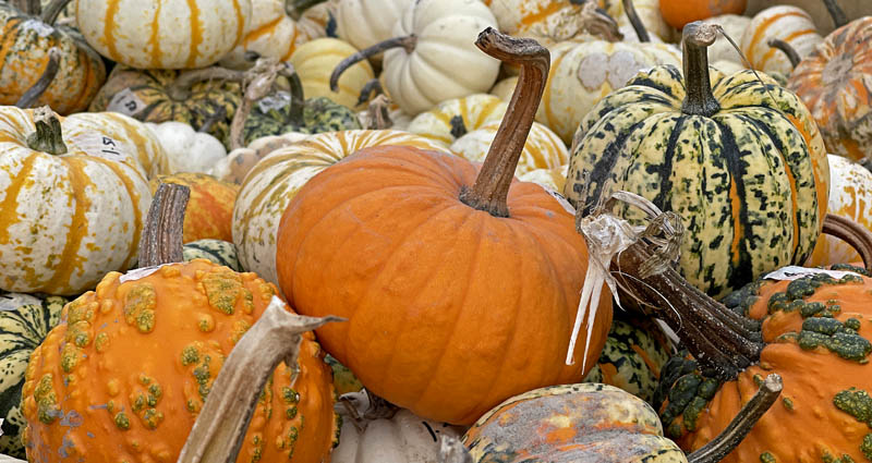 Autumn in Maine Autumn in Maine