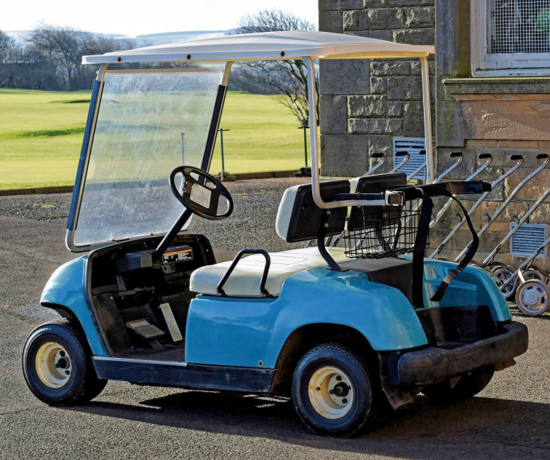 Blue cart