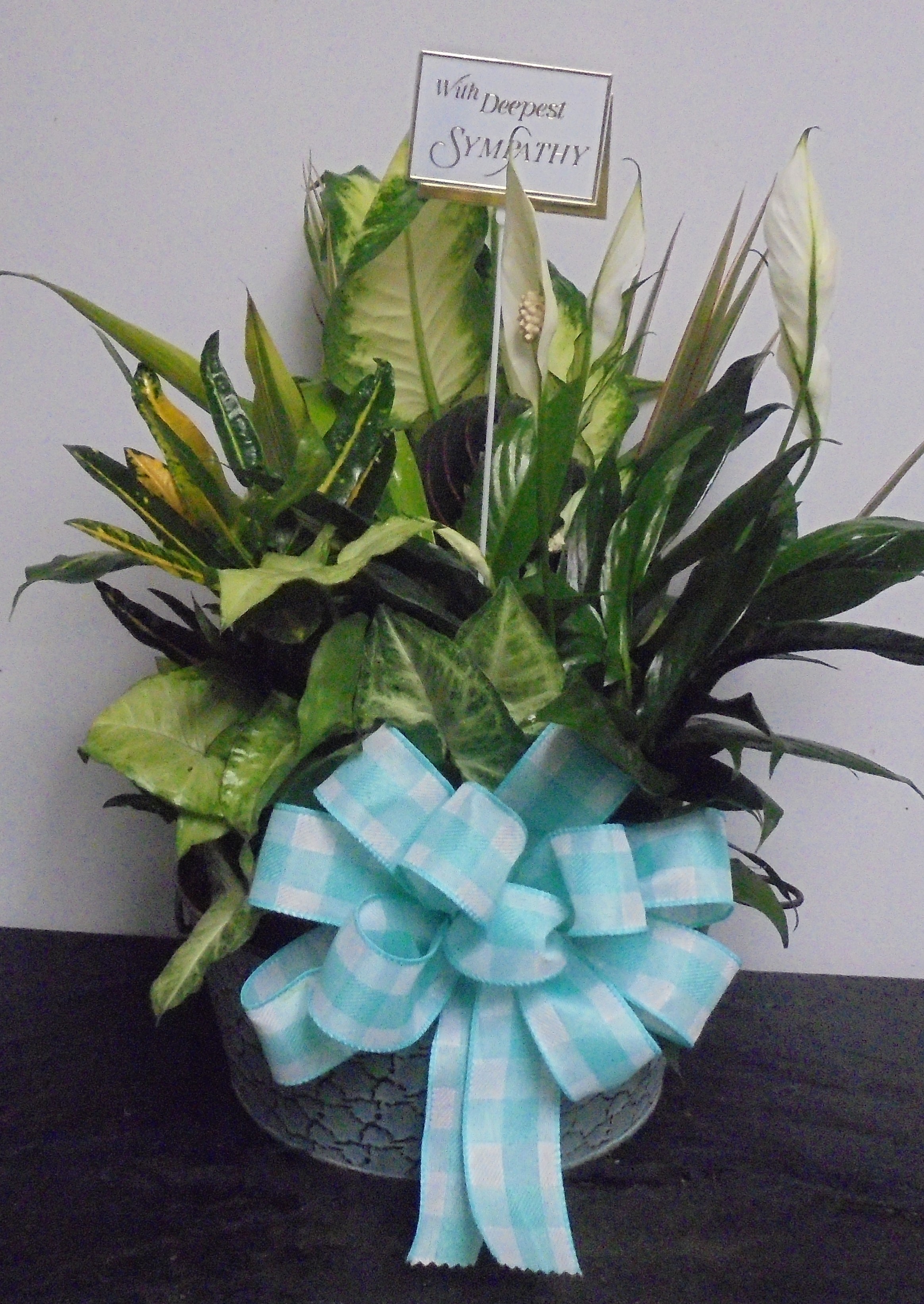 (7)  Dish-Garden Plant
W/ With Deepest Sympathy Pick
$75.00