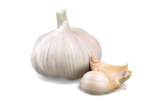 Glorious Garlic