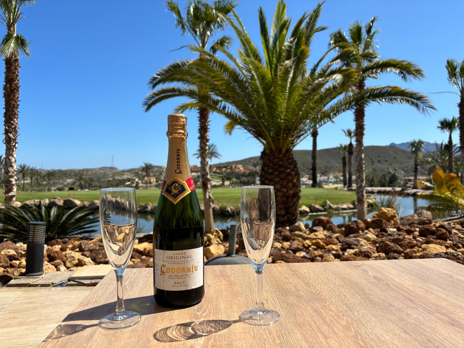 man in black t-shirt and brown shorts playing golf during daytime