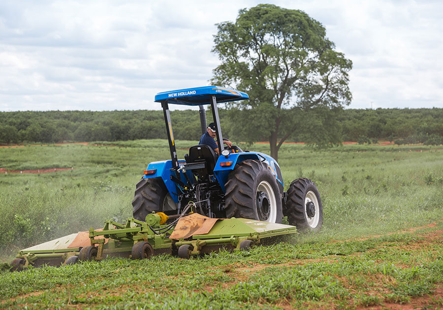 https://0201.nccdn.net/4_2/000/000/05c/240/new-holland-tl-plat_alta-5-900x630.jpg