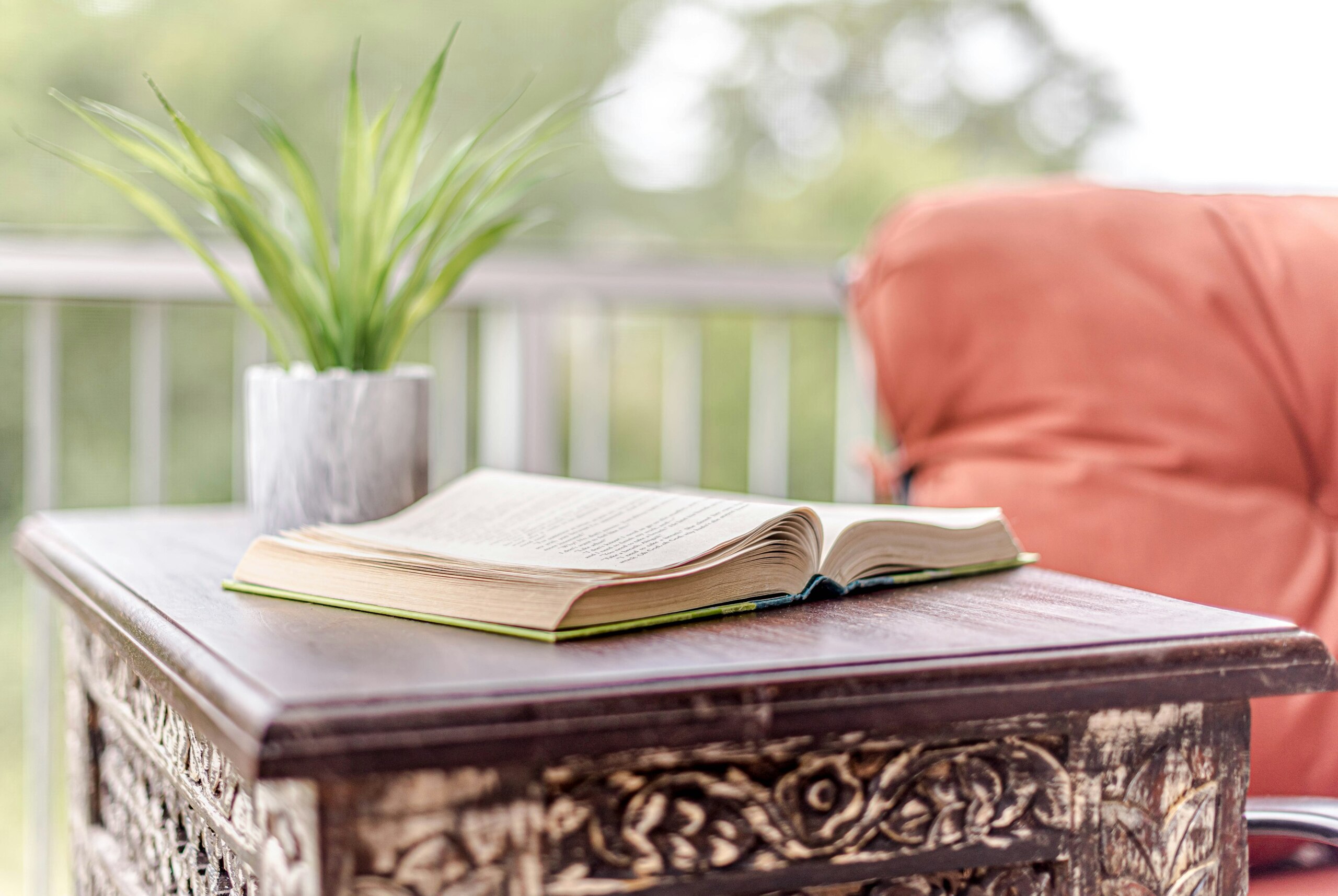 Open book on an ornate wooden table with a potted plant and a red cushion in the background.