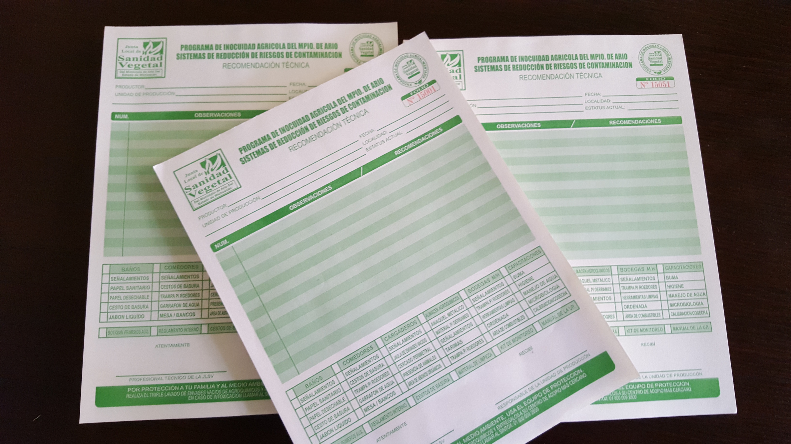 Young dark haired woman