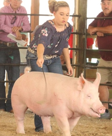 Lena Stricklen
2018 Phelps County Fair, Missouri
Grand Champion Overall
Grand Champion On Foot
Grand Champion Carcass