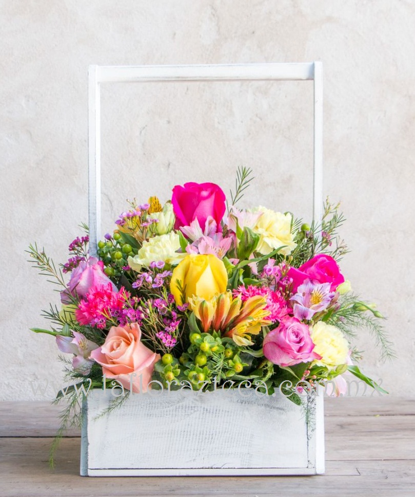 Mom - 120
Precio $720