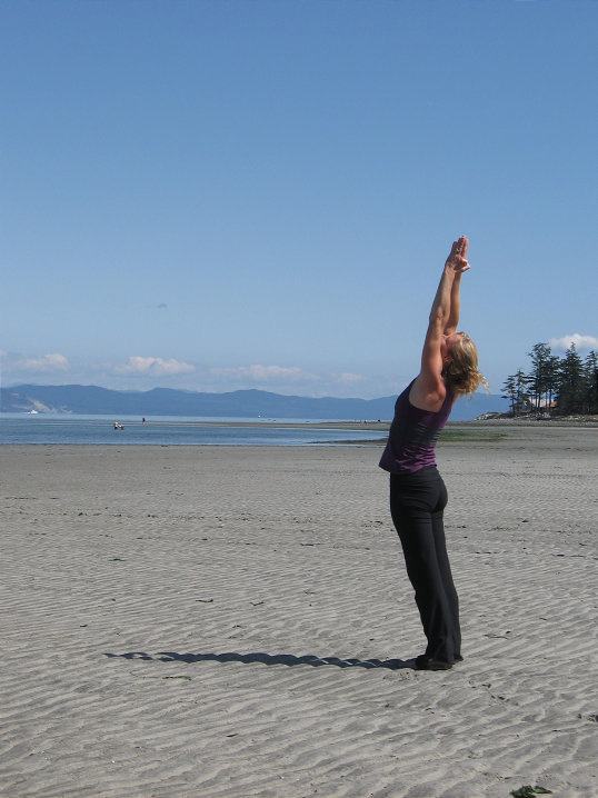 Anuvrittasana - Parabola Pose