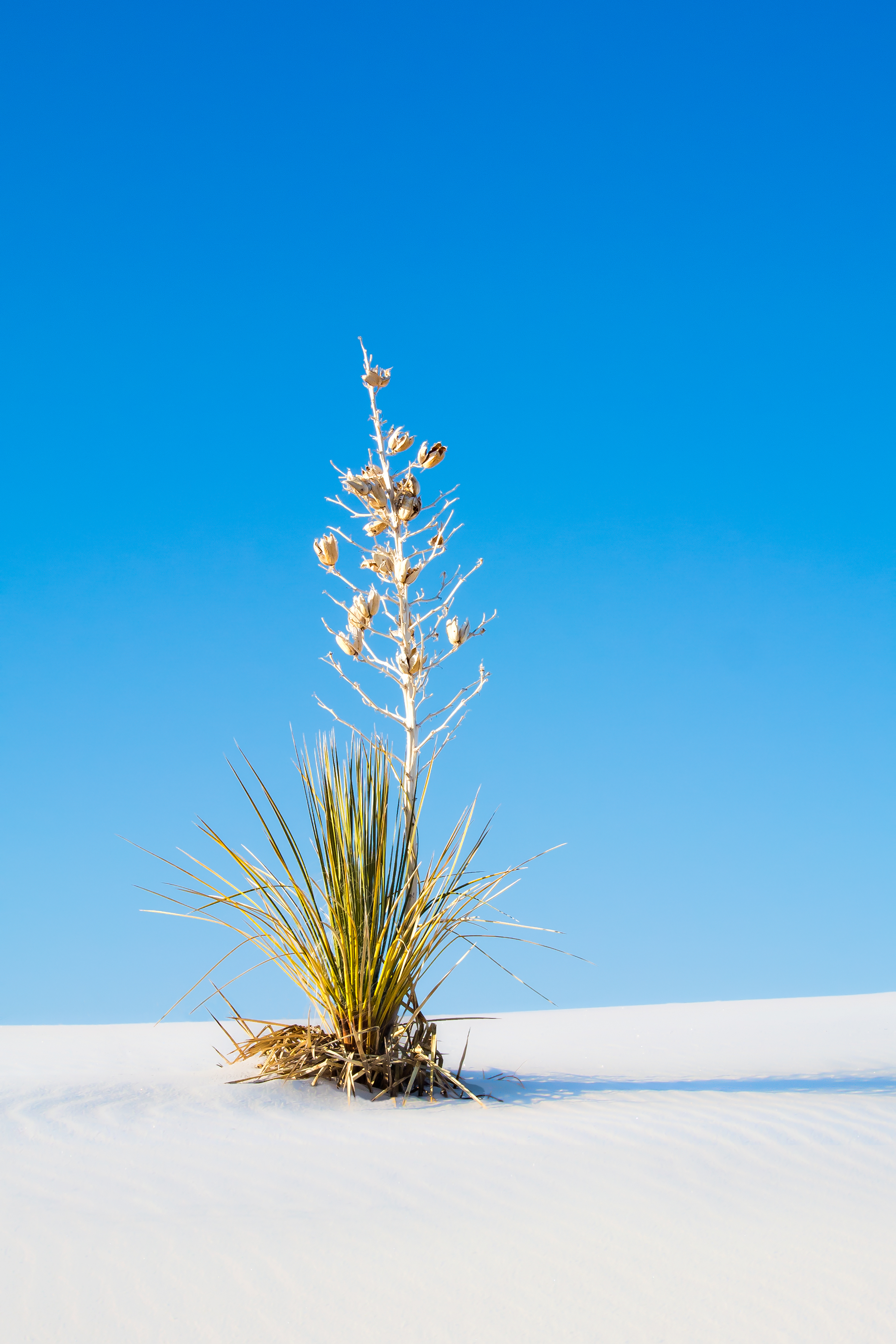 ORT OF A MONUMENT - I took this shot in White Sands National Monument in New Mexico.