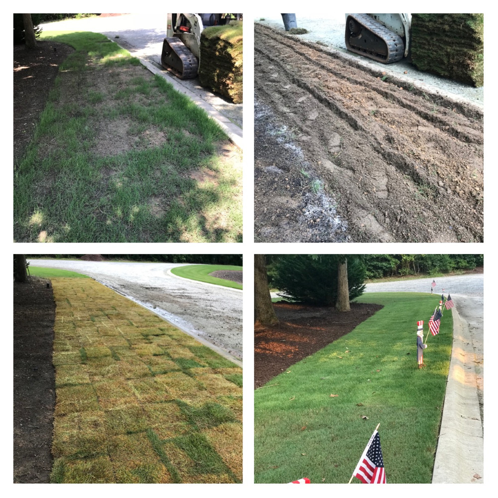 From start to finish with a beautiful Zeon Zoysia 