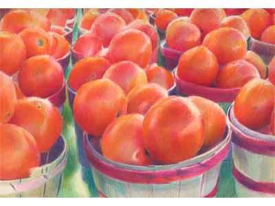 Tomato Tubs (Coloured Pencil on Arches HP) 210mm x 297mm