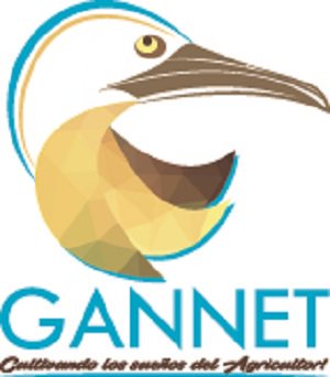 GANNET S.A DE C.V