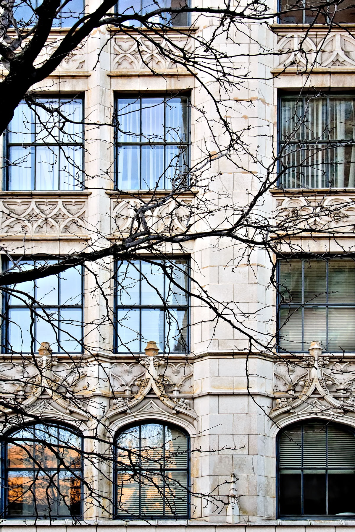 TREE AND WINDOWS - I just couldn't pass up this "winter only" view of a building in Cincinnati.
