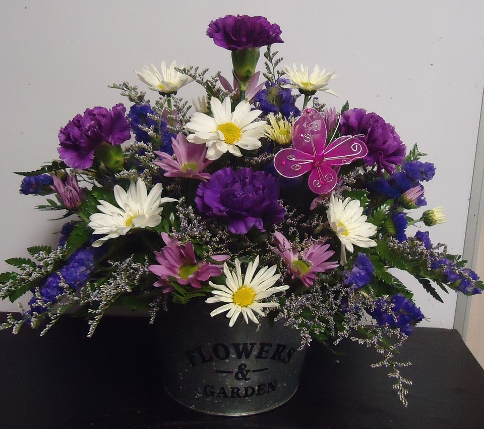 (22) Fresh Mix Planter
(Colors May Vary)
$45.00