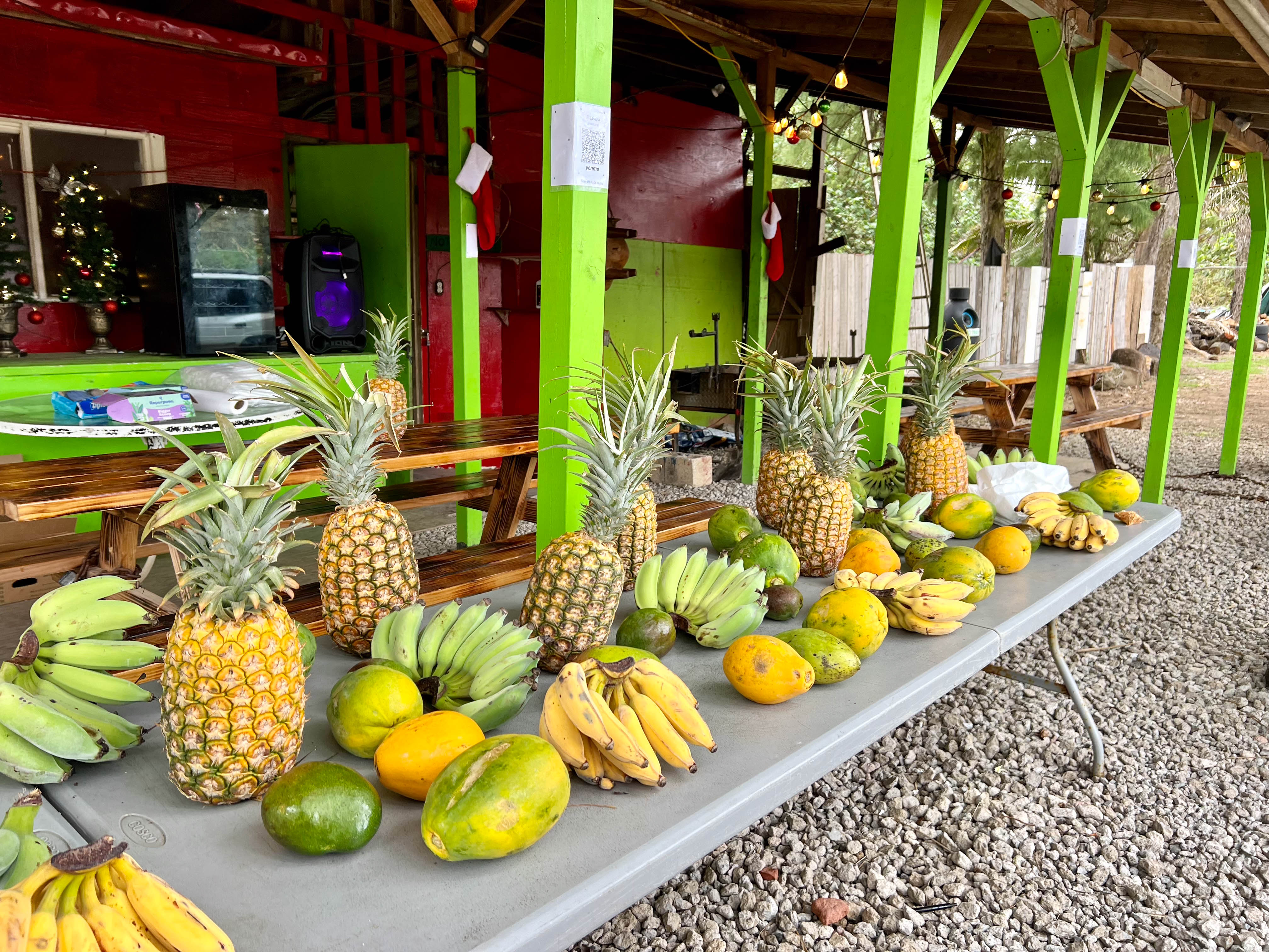 https://0201.nccdn.net/4_2/000/000/05e/0e7/hawaii-order-144.jpg