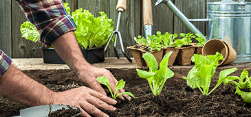                                               Herramienta para jardinería