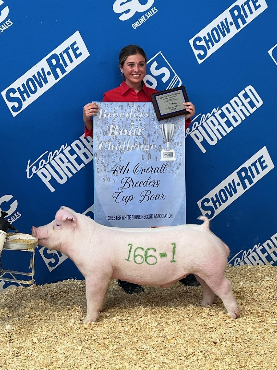 Lena Stricklin
2024 Summer Type Conference
Springfield, Illinois
4th Overall Chester White Boar