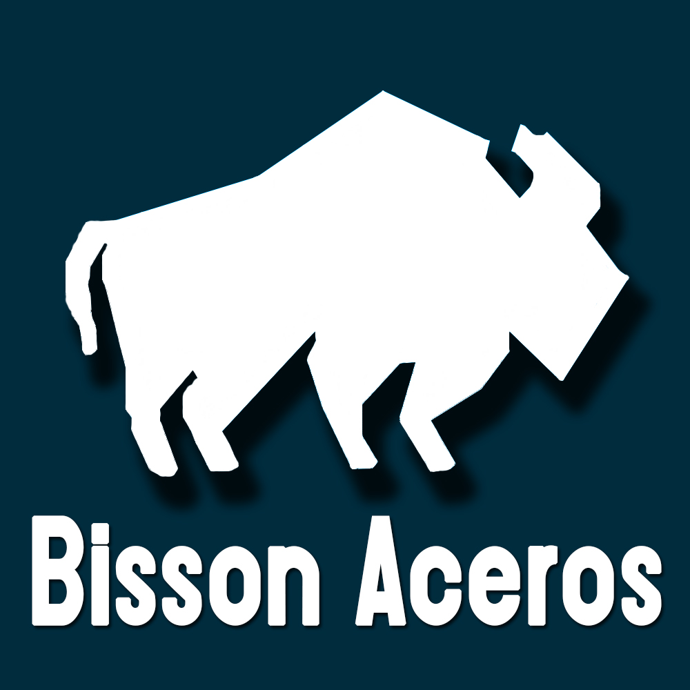 ACEROS Y ALEADOS BISSON