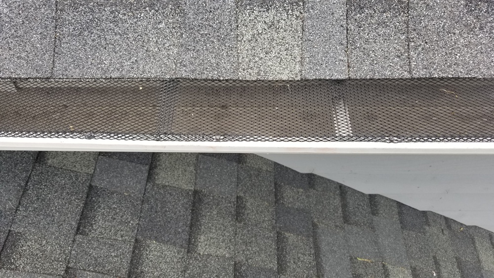Gutters with leaf protection