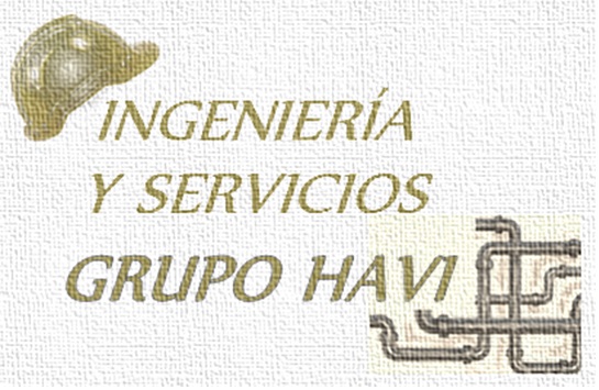 INGENIERIA Y SERVICIOS GRUPO HAVI