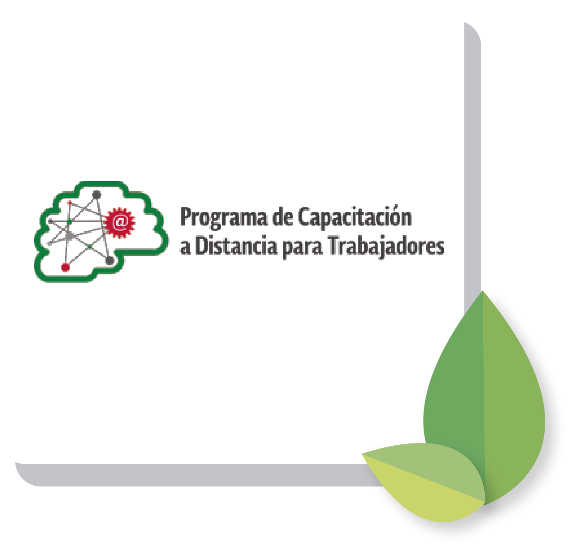 Programa de Capacitación a Distancia para Trabajadores