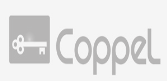Wartenberg Consulting logo