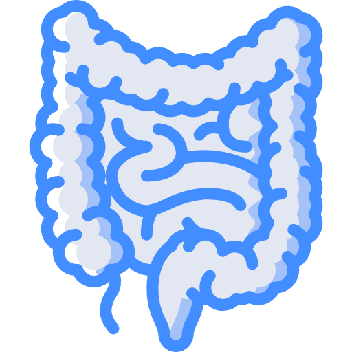 https://0201.nccdn.net/4_2/000/000/060/85f/intestinos.png