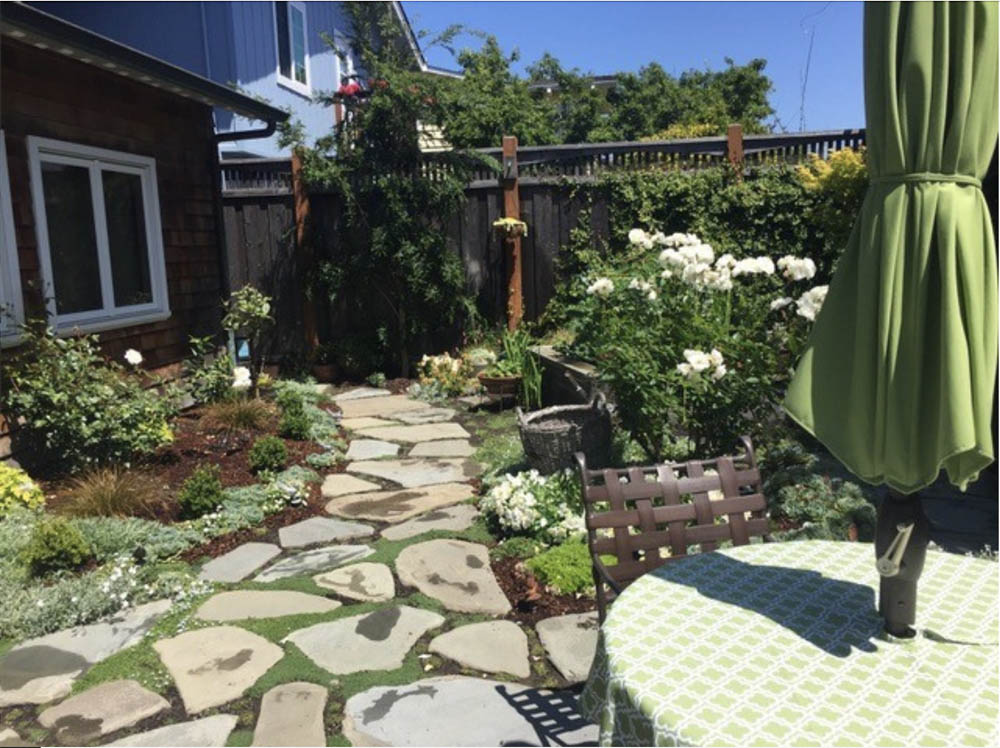 Moon Garden Colored Foliage 2