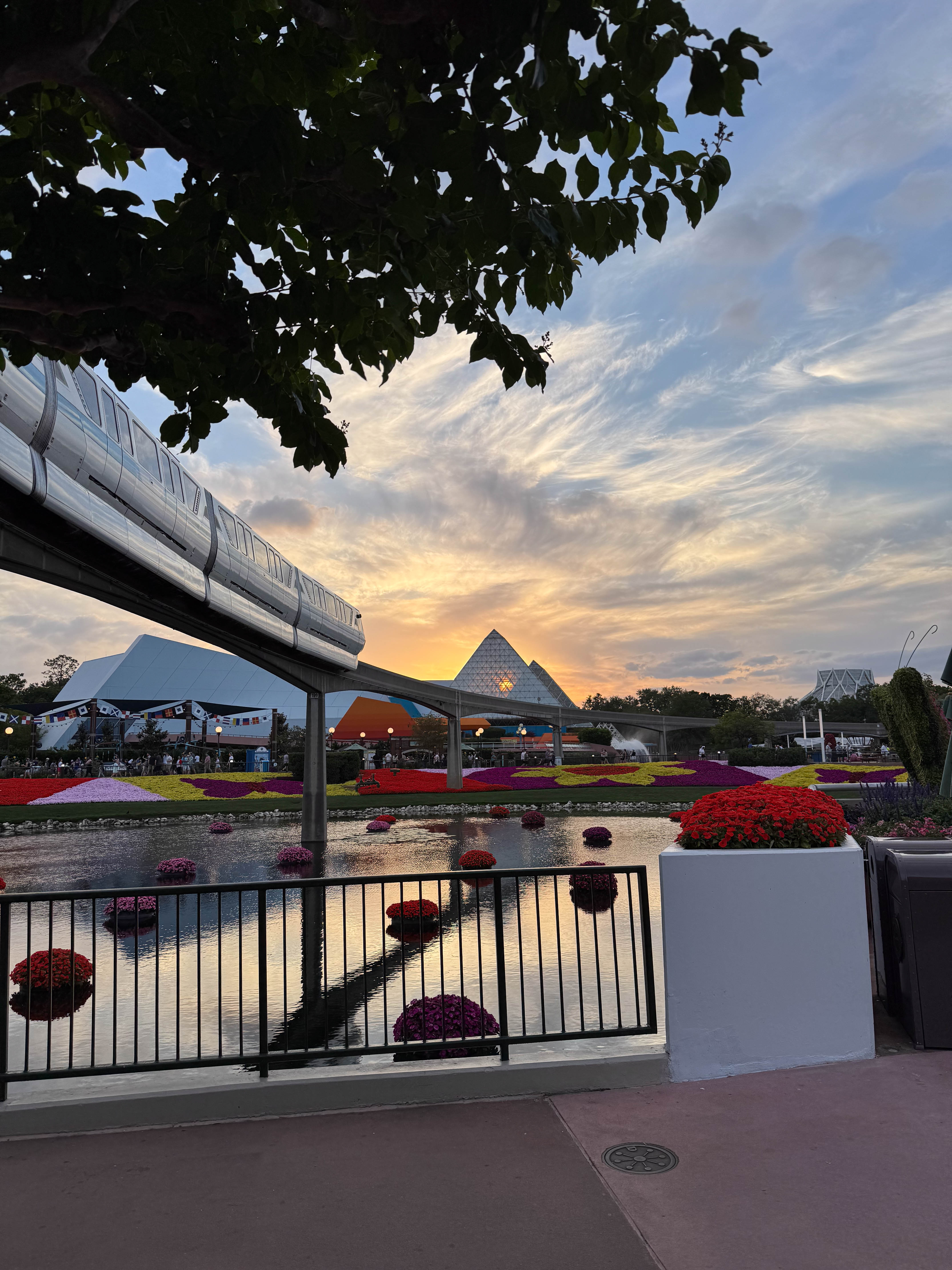 https://0201.nccdn.net/4_2/000/000/060/85f/orlando-order-7.jpg