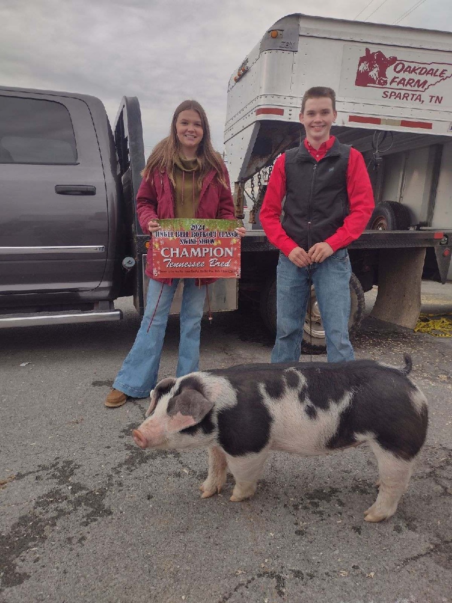 Sam Teeple
2024 Jingle Bell Rockout Classic
Swine Show
Champion TN Bred Spot Gilt