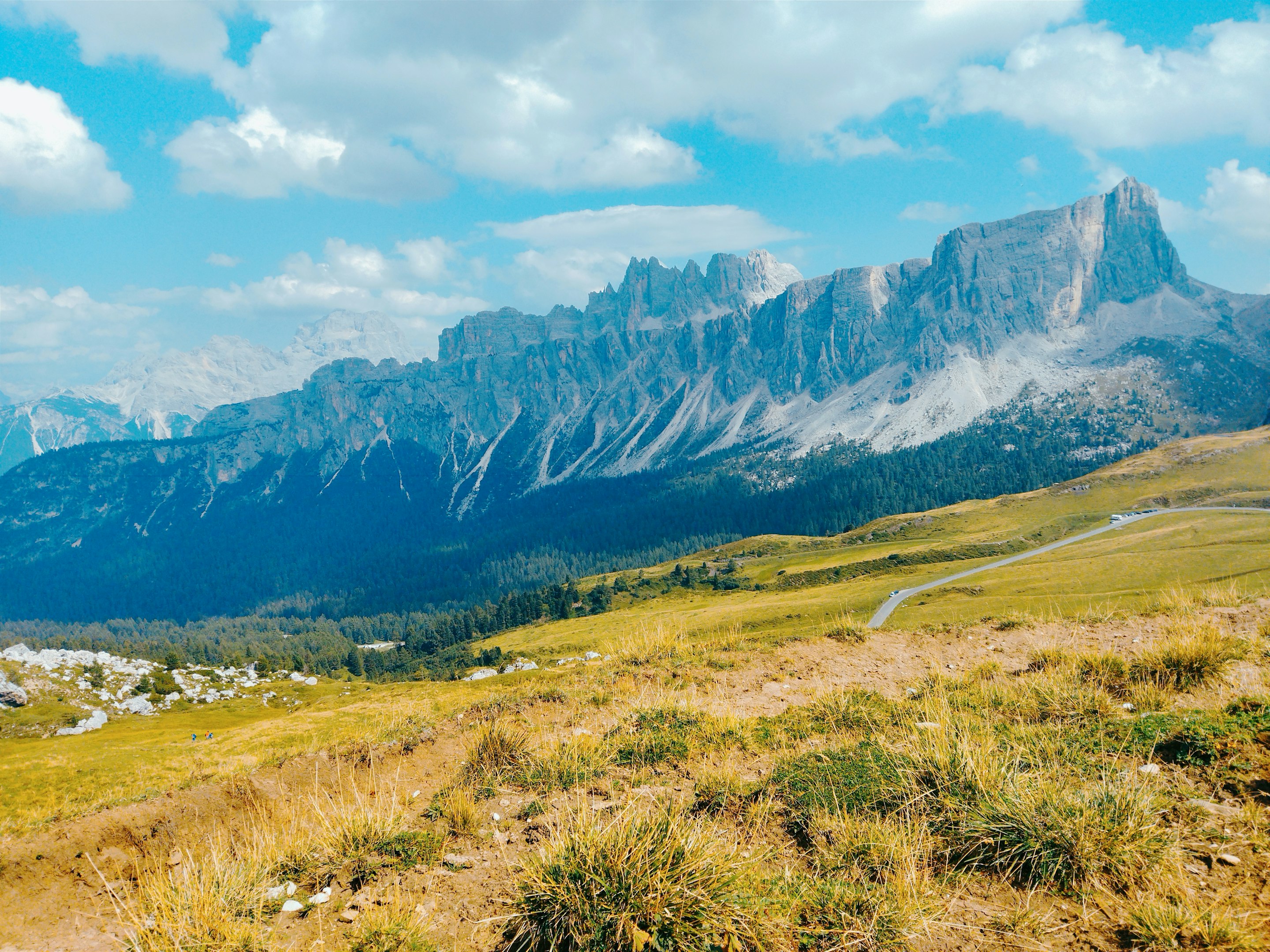 un campo cubierto de hierba con una cordillera al fondo
