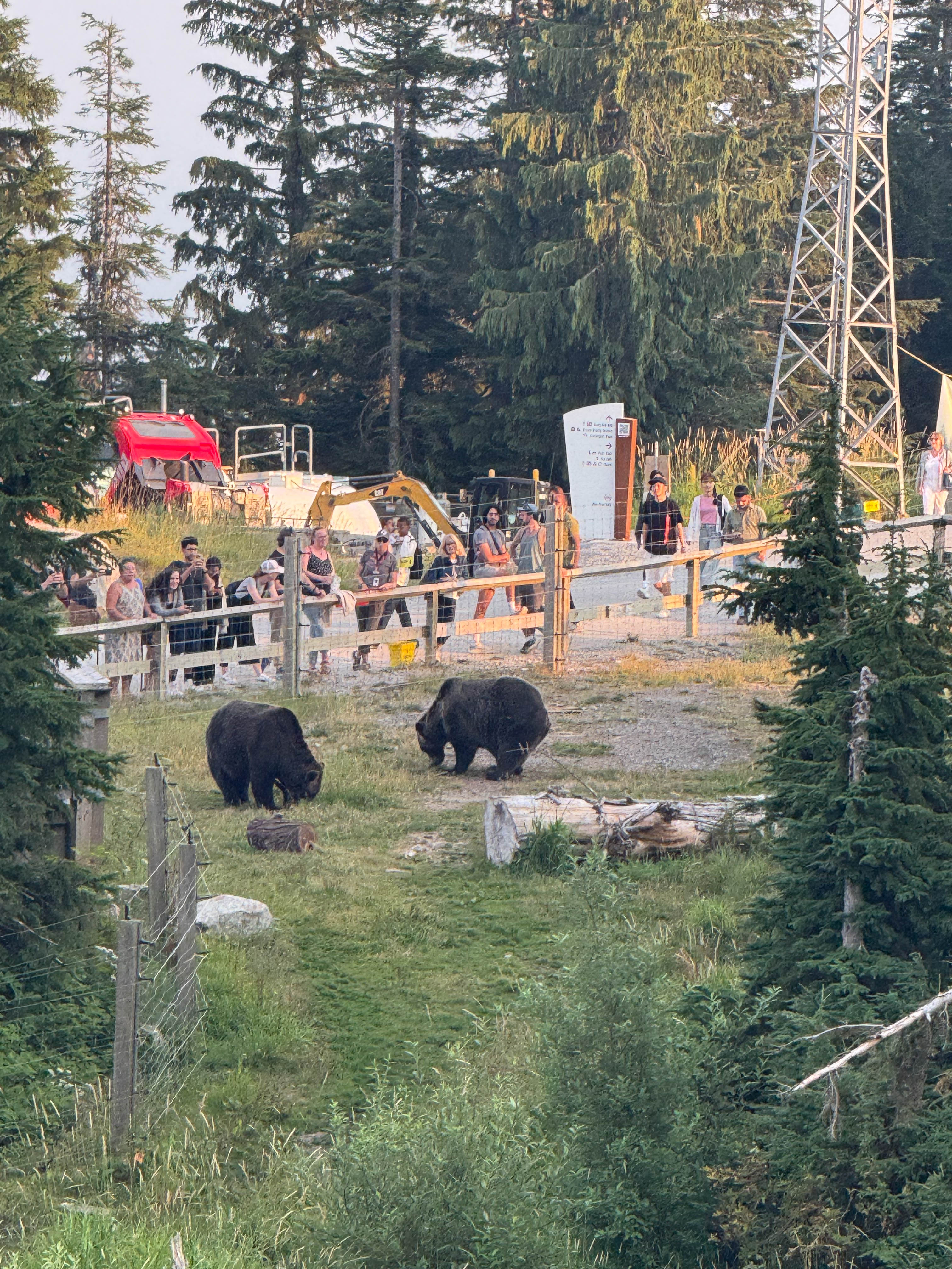 https://0201.nccdn.net/4_2/000/000/060/85f/vancouver-order-163.jpg
