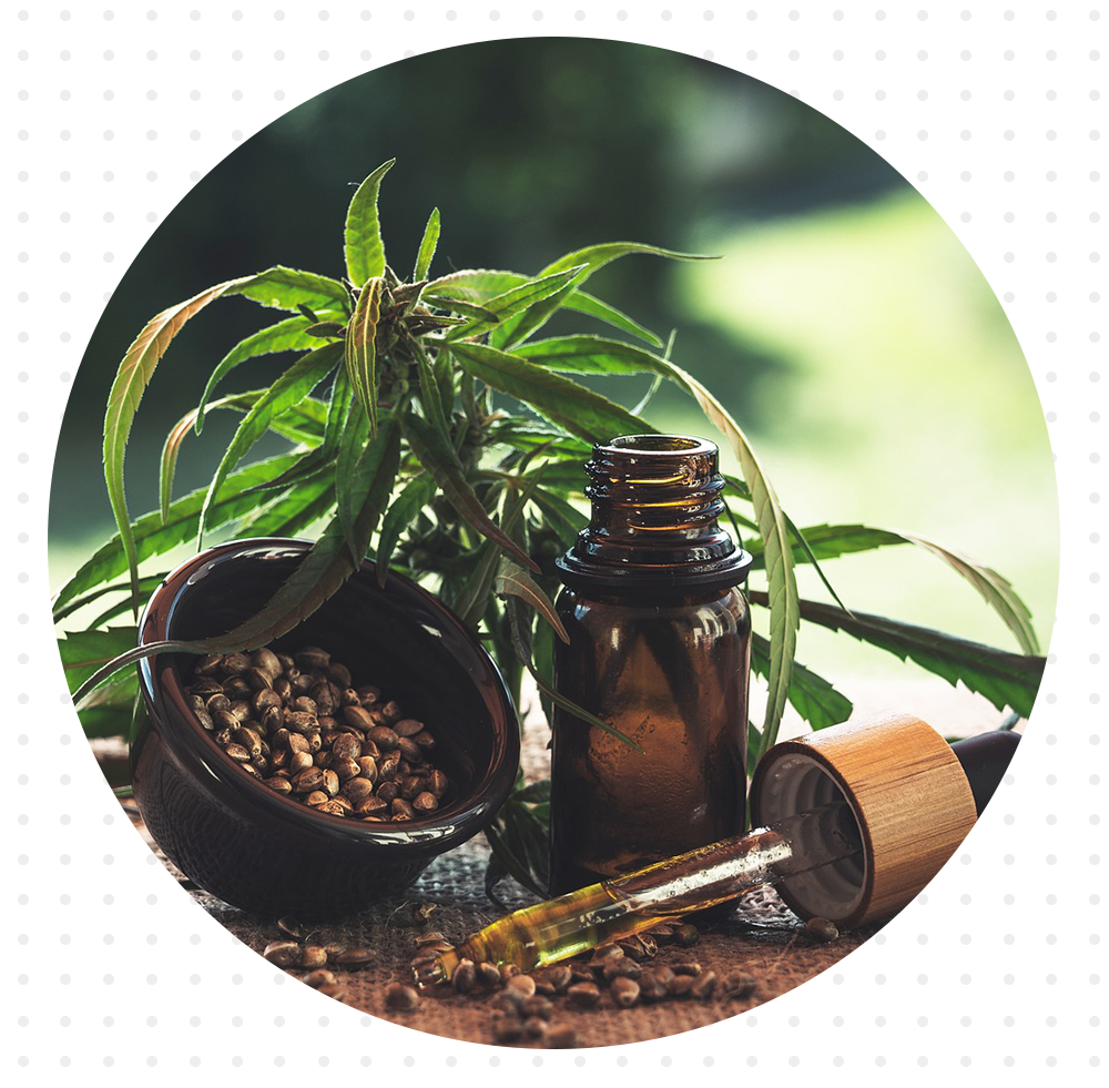 Cannabis Oil