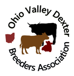 ohio valley dexter breeders association