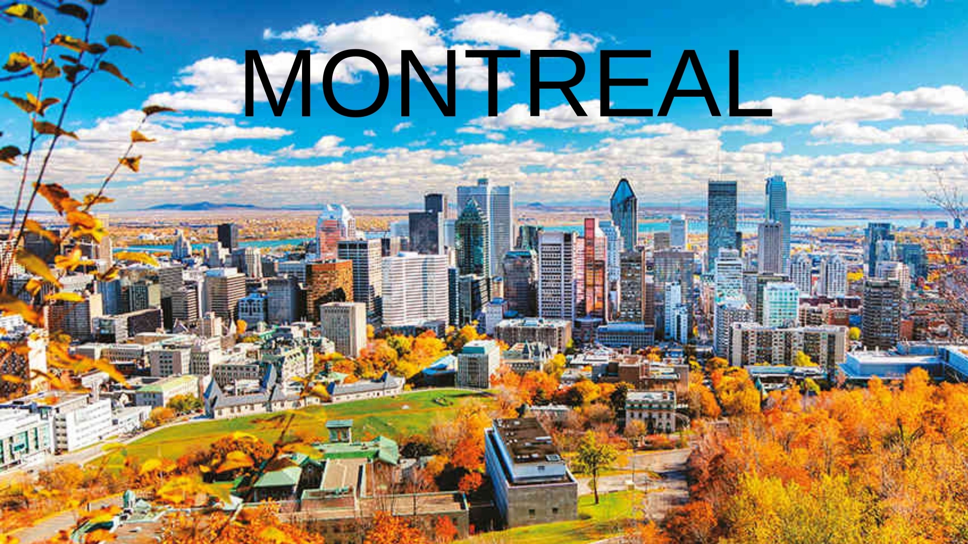 https://0201.nccdn.net/4_2/000/000/061/438/MONTREAL--1--1920x1080.jpg