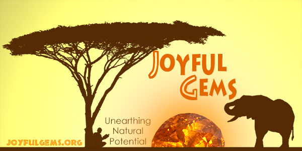 Joyful Gems Branding