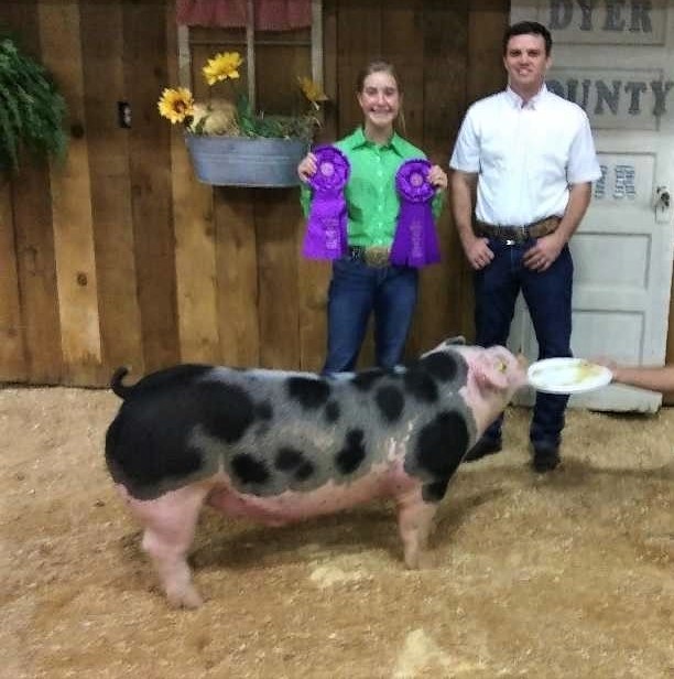 Lily Peterson
2021 Dyer County Fair
Champion Spot Barrow