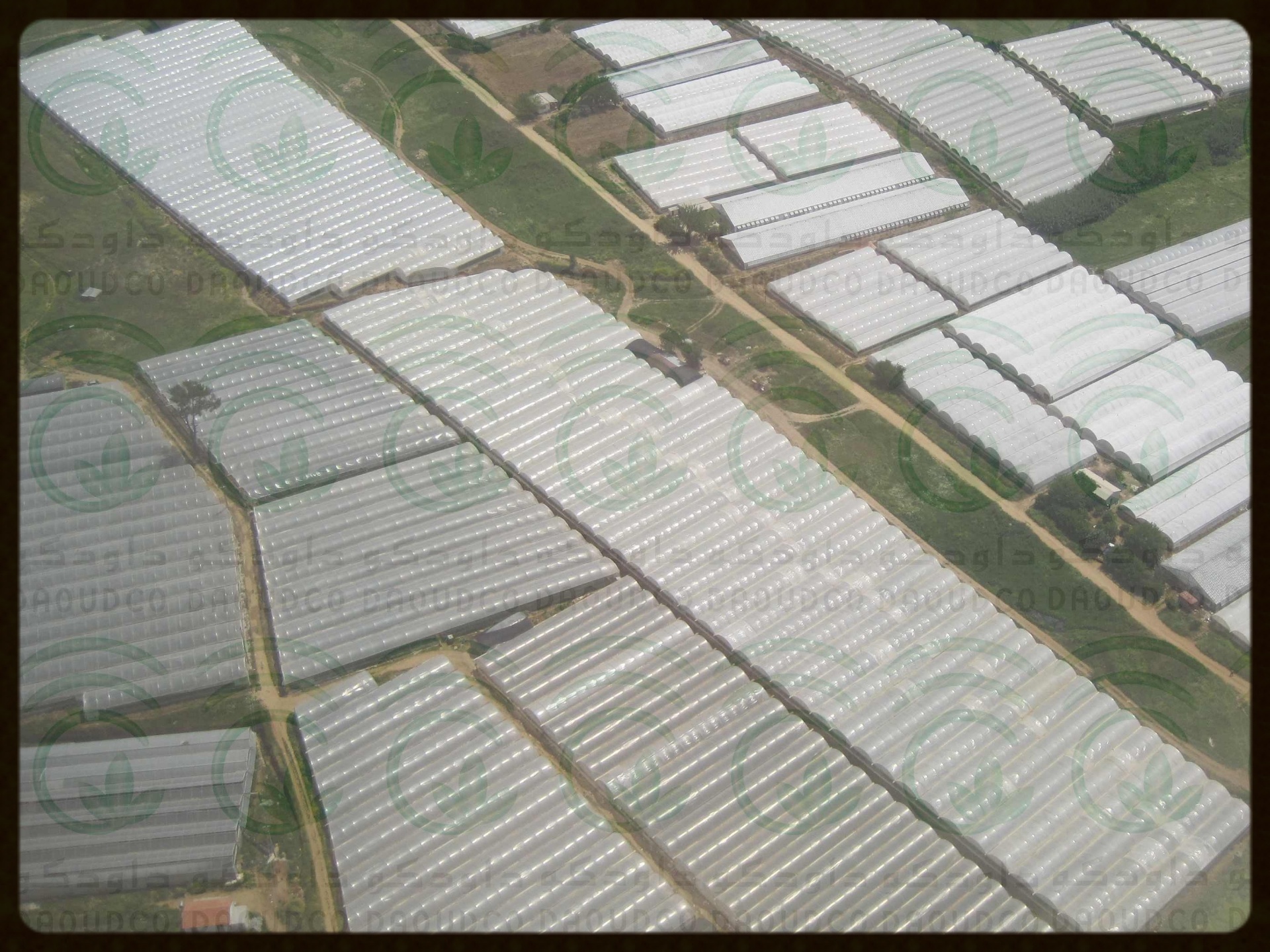 Greenhouses Arial View