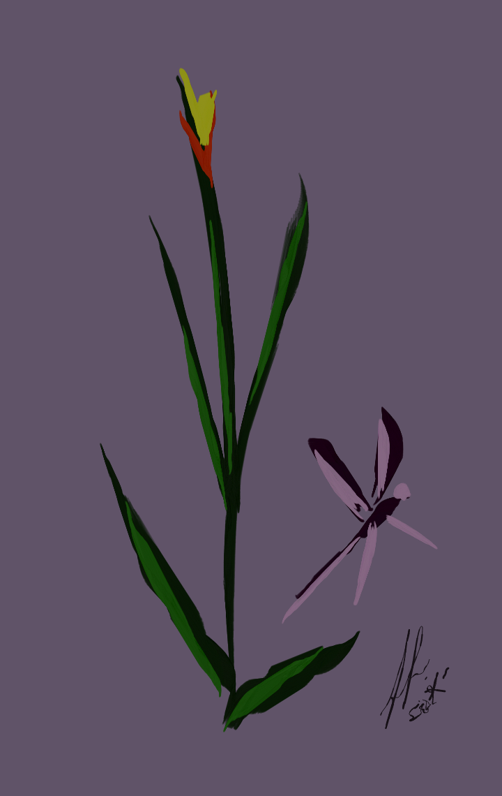 Dragonfly