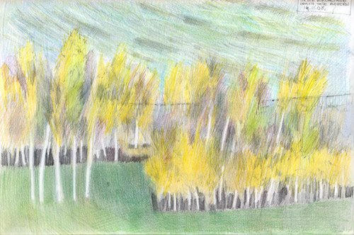 Yellow Birches, from Tate Modern
