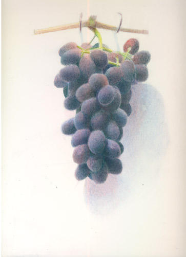 Untouched by human hand