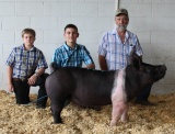 Lusk Show Team
2018 Tennessee State Fair
Reserve Champion Hampshire Barrow