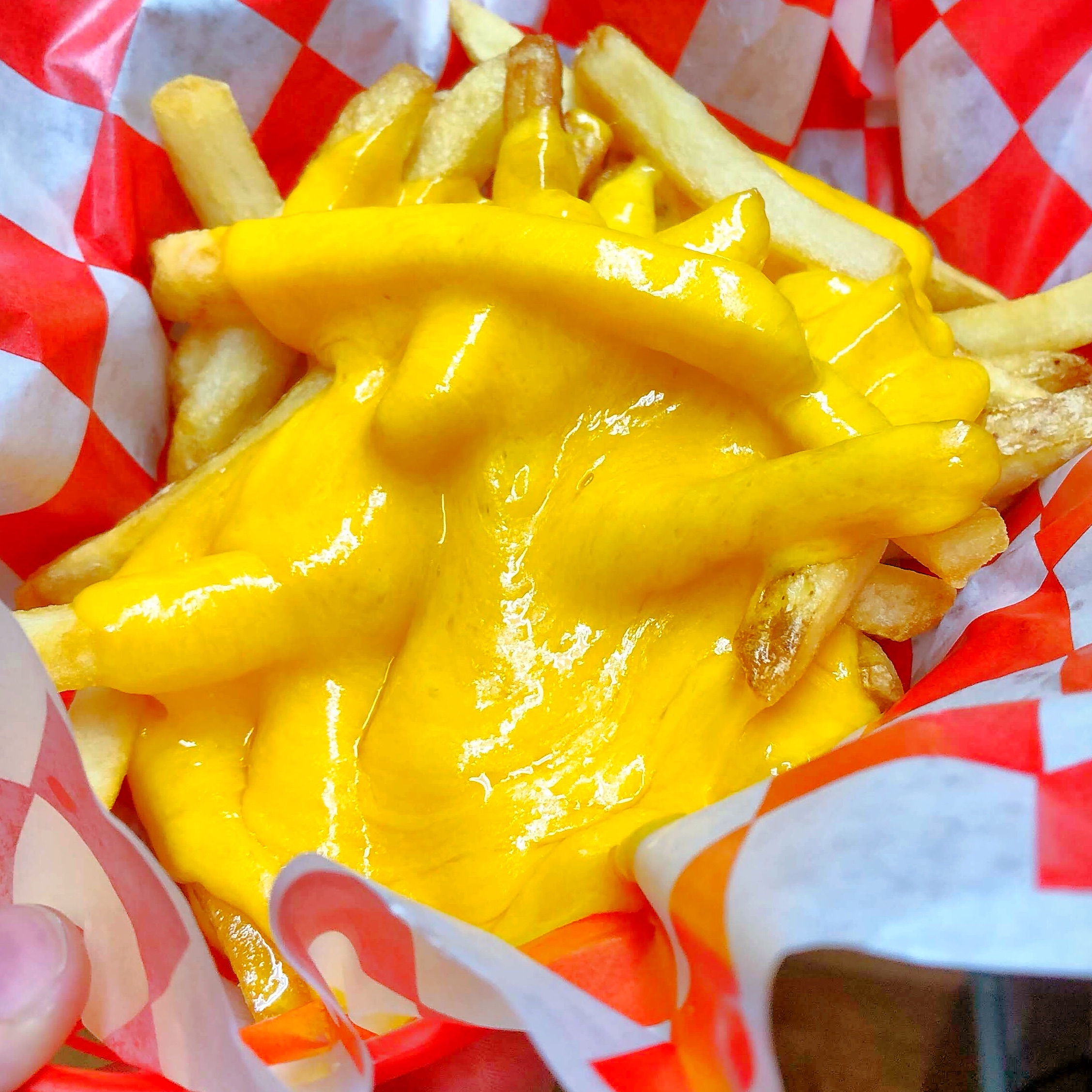 Cheeze Fries