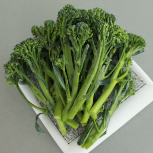 Brocoli Mini Sibsey F1