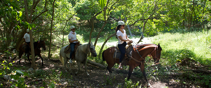 UN PASEO RELAJANTE Y FANTÁSTICO